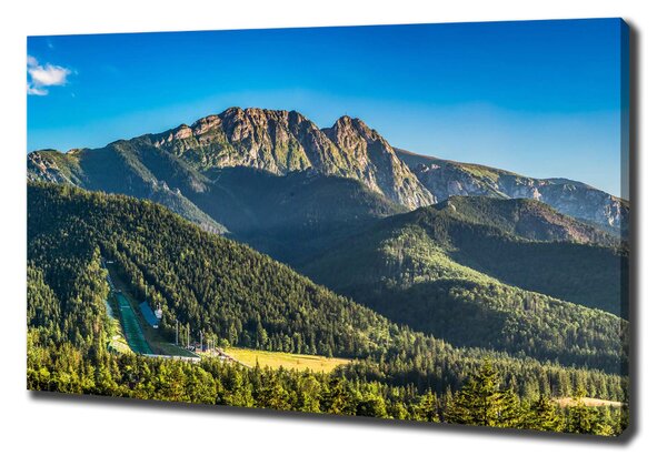 Foto obraz na plátně Panorama Tater oc-99701394