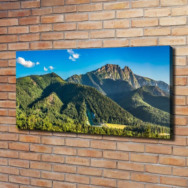 Foto obraz na plátně Panorama Tater oc-99701394