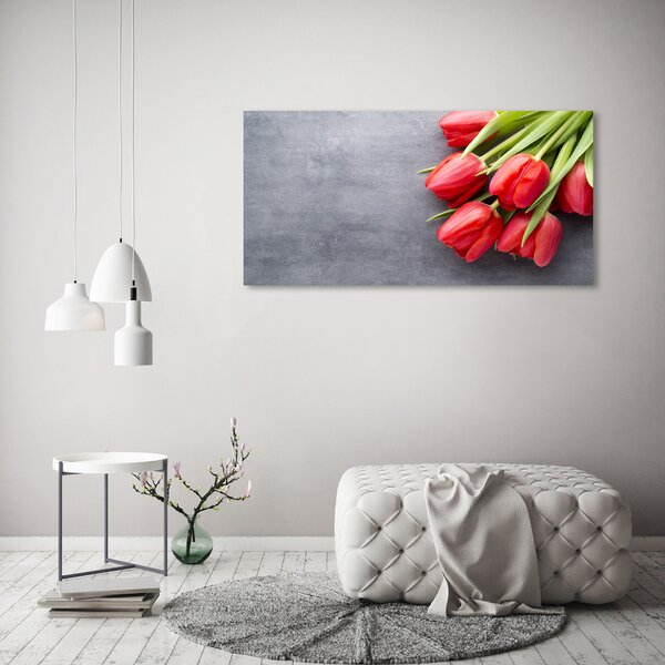 Foto obraz na plátně Červené tulipány oc-99719823