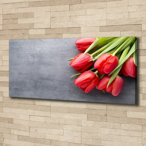Foto obraz na plátně Červené tulipány oc-99719823