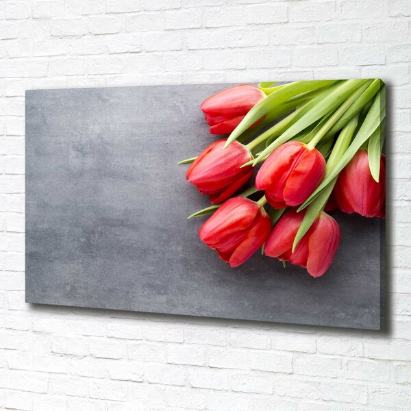 Foto obraz na plátně Červené tulipány oc-99719823