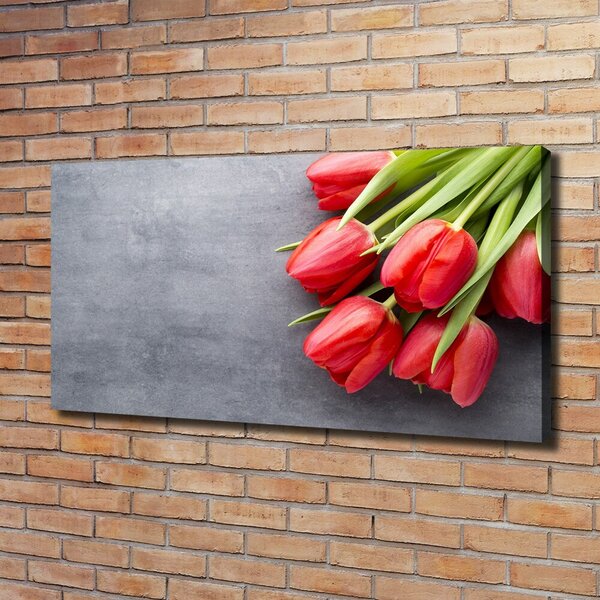 Foto obraz na plátně Červené tulipány oc-99719823