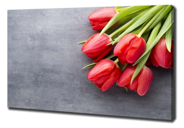 Foto obraz na plátně Červené tulipány oc-99719823