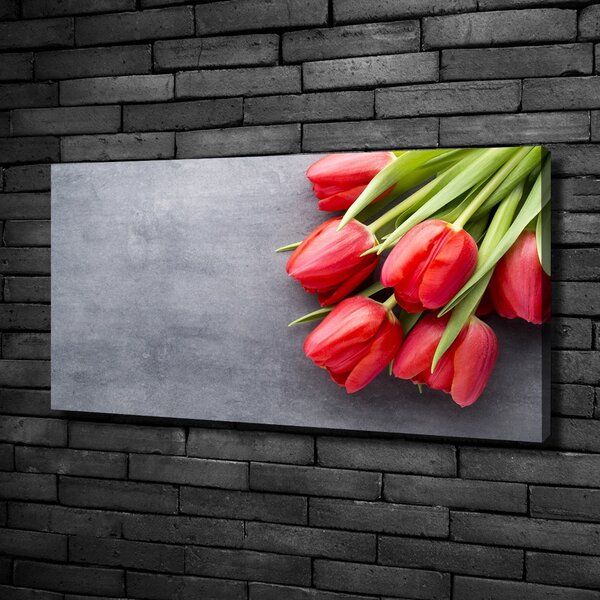 Foto obraz na plátně Červené tulipány oc-99719823