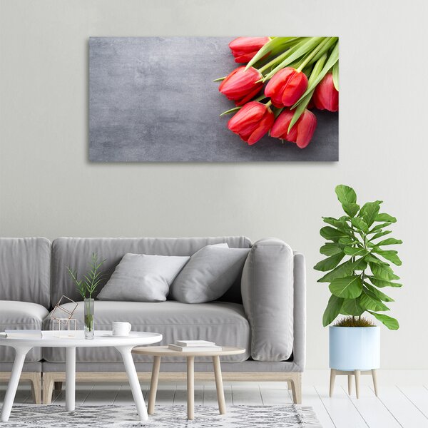 Foto obraz na plátně Červené tulipány oc-99719823