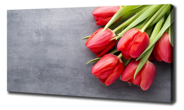 Foto obraz na plátně Červené tulipány oc-99719823