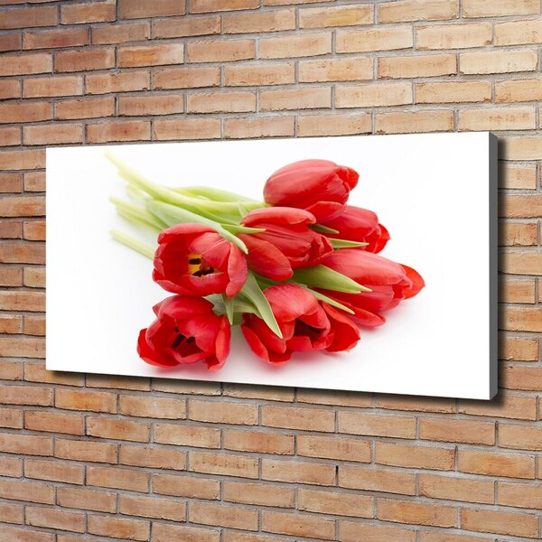 Foto obraz na plátně Červené tulipány oc-99817079