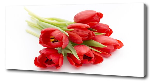 Foto obraz na plátně Červené tulipány oc-99817079