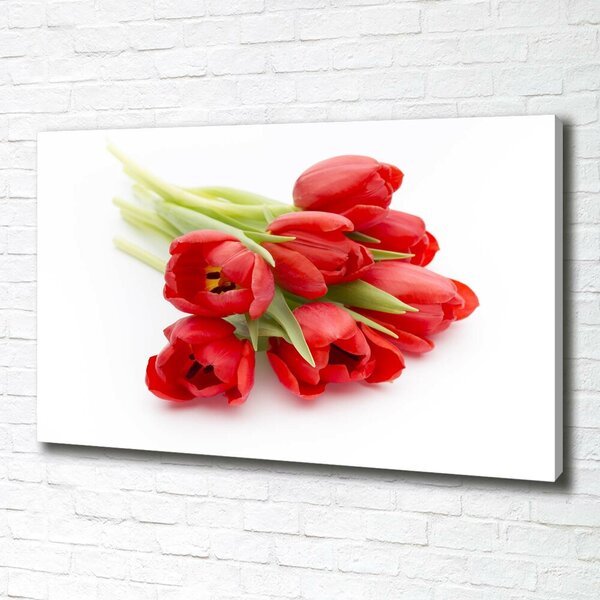 Foto obraz na plátně Červené tulipány oc-99817079