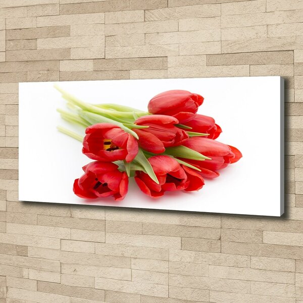 Foto obraz na plátně Červené tulipány oc-99817079