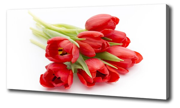 Foto obraz na plátně Červené tulipány oc-99817079
