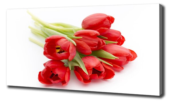 Foto obraz na plátně Červené tulipány oc-99817079
