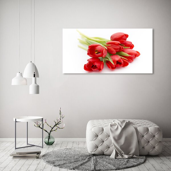 Foto obraz na plátně Červené tulipány oc-99817079