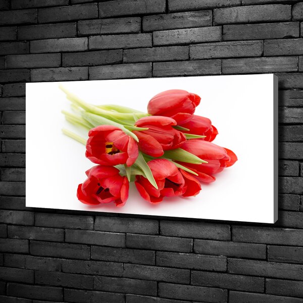Foto obraz na plátně Červené tulipány oc-99817079