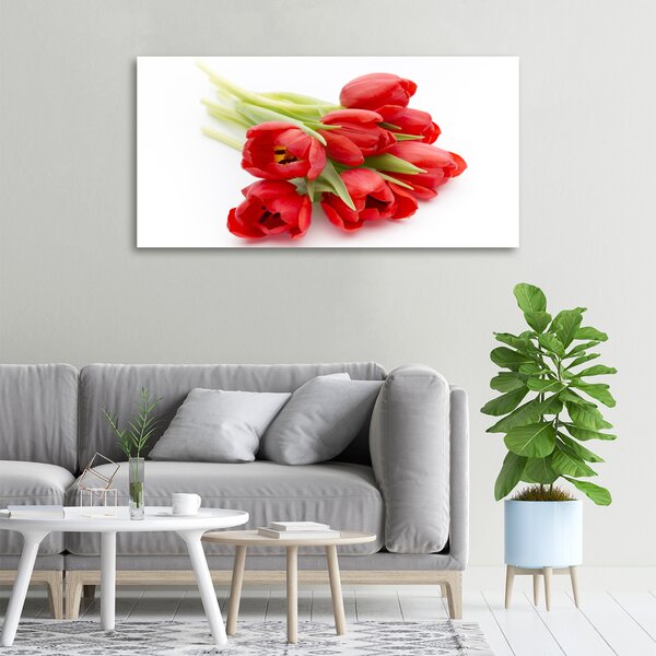 Foto obraz na plátně Červené tulipány oc-99817079