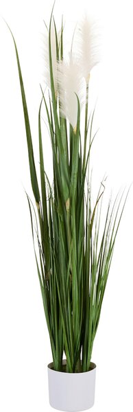 DEKORAČNÍ TRÁVA, 120 cm Ambia Home - Dekorační tráva