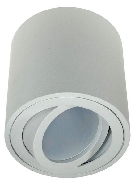 Bodové svítidlo FEBE 1xGU10/30W/230V bílá