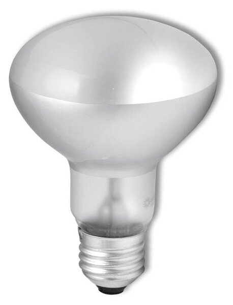 Průmyslová reflektorová žárovka R63 E27/40W/230V 2700K