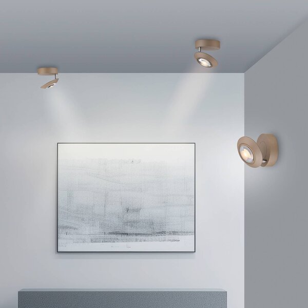 PURE LED stropní svítidlo Oculis bronzová barva, Ø 15 cm železo/sklo, stmívatelný, Bronz / starožitná mosaz, Obývací pokoj / jídelna, Moderní