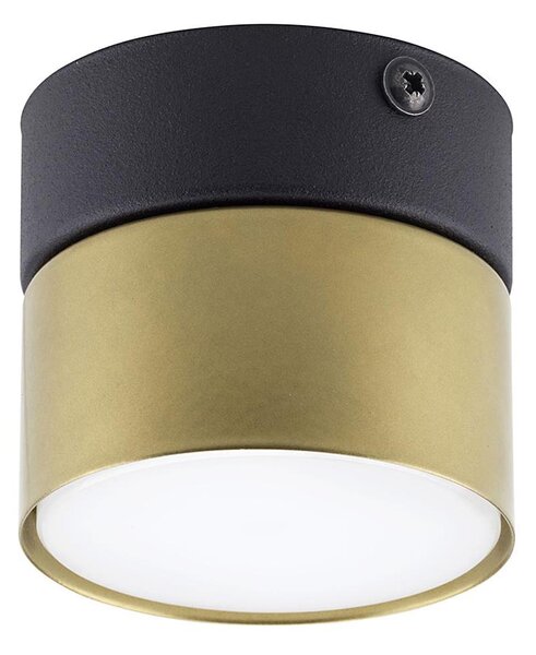 Bodové svítidlo SPACE GOLD 1xGX53/15W/230V