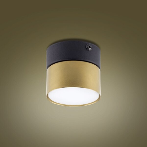 Bodové svítidlo SPACE GOLD 1xGX53/15W/230V
