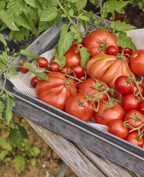 Kovový tác Urban Garden Oblong Větší