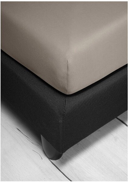 Bierbaum jersey prostěradlo mastic - 80-100 x 200 cm