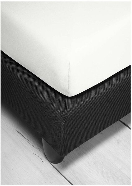 Bierbaum jersey prostěradlo bílá - 80-100 x 200 cm