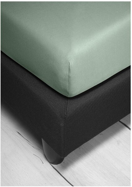 Bierbaum jersey prostěradlo celadon - 80-100 x 200 cm