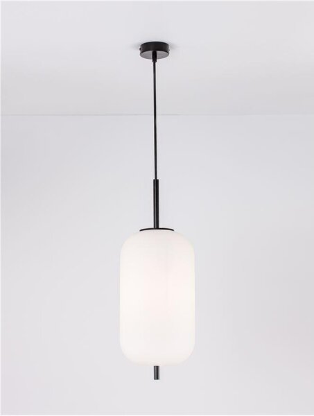 Nova Luce Závěsné svítidlo LATO černý kov a opálové sklo E27 1x12W