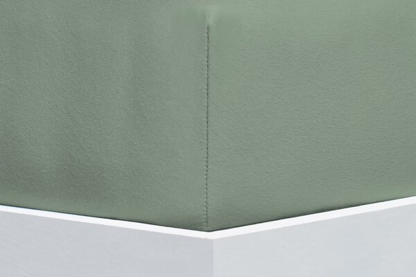 Florella Prostěradlo Avance Jersey 45 Pfau Zvolte jeden rozměr prostěradla: 90-100x200 cm