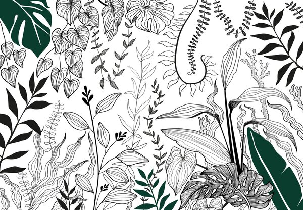 Fototapeta - Botanická zahrada (245x170 cm)