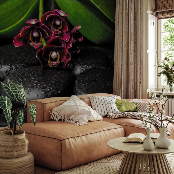 Fototapeta - Orchidej a kameny (245x170 cm)