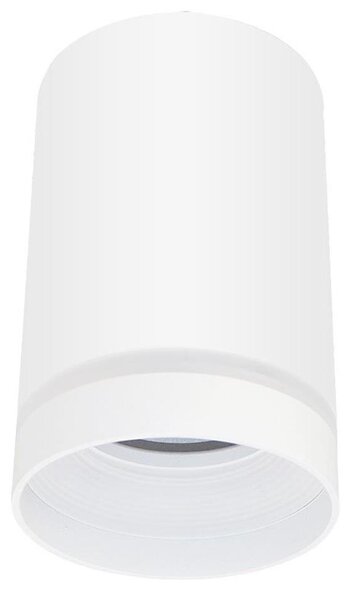 Bodové svítidlo FABRI 1xGU10/10W/230V bílá