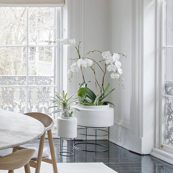 Bolia designové květináče Botanique (průměr 49 cm)-šedá