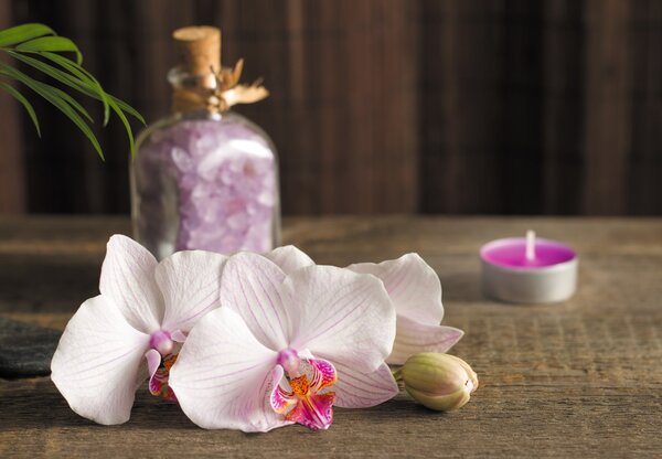 Fototapeta - Orchideje a spa (245x170 cm)