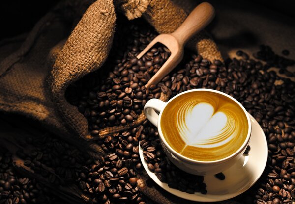 Fototapeta - Cappuccino (245x170 cm)