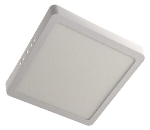 LED Stropní svítidlo GERRY LED/12W/230V 3000K bílá