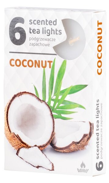 Čajové 6ks coconut vonné svíčky