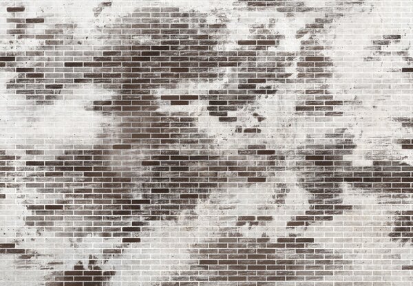 Fototapeta - Cihlová zeď II. (245x170 cm)