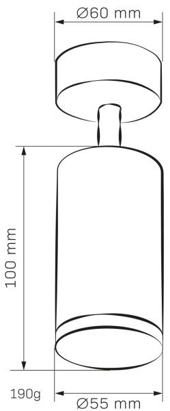 Koupelnové bodové svítidlo TURYN 1xGU10/10W/230V IP44 bílá