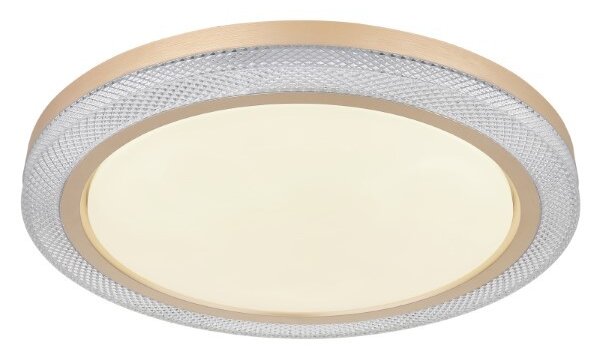 Globo GLB41372-24 LED přisazené stropní svítidlo BOLLY | 20W integrovaný LED zdroj | 1100lm | 2700-6500K