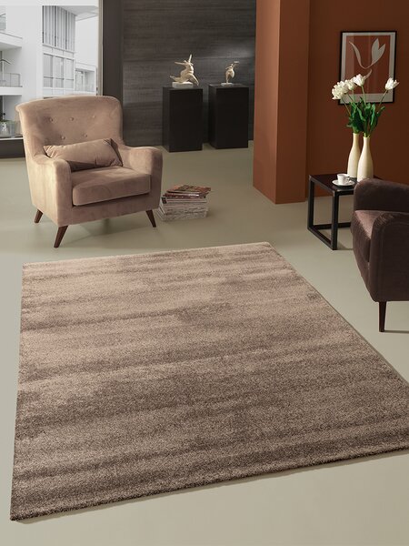 Jednobarevný kusový koberec 80x150 HOLLISTER - hnědý