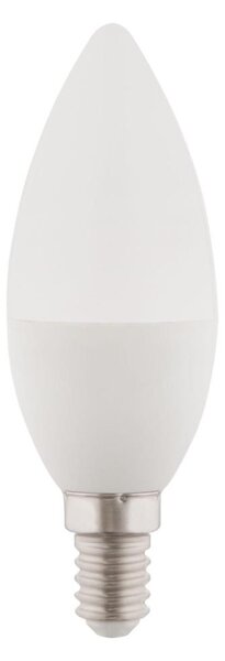 LED Stmívatelná žárovka E14/5W/230V 4000K - Globo 10560DCK