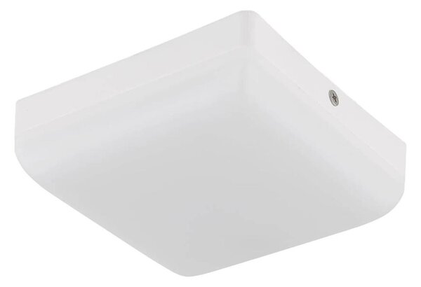 Globo 12388-8W - LED Stropní svítidlo MATTHEW LED/8W/230V bílá