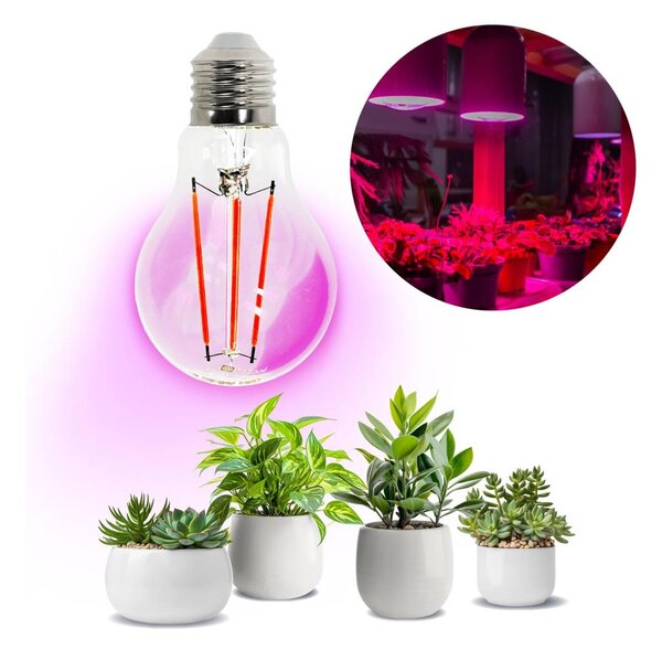 LED Žárovka pro růst rostlin VITABLOOM E27/8W/230V 1200K - Brilagi