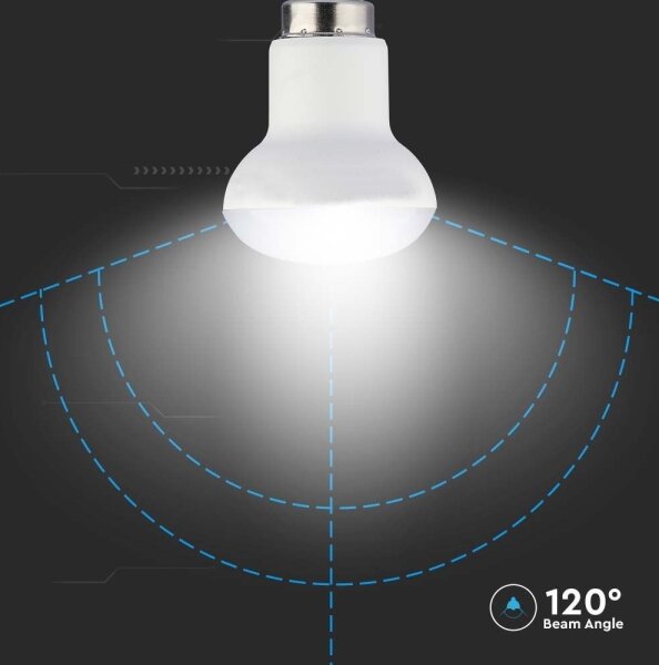 LED Žárovka SAMSUNG CHIP R39 E14/2,9W/230V 6500K