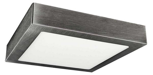 LED Stropní svítidlo FENIX LED/12W/230V 2800K 17 cm