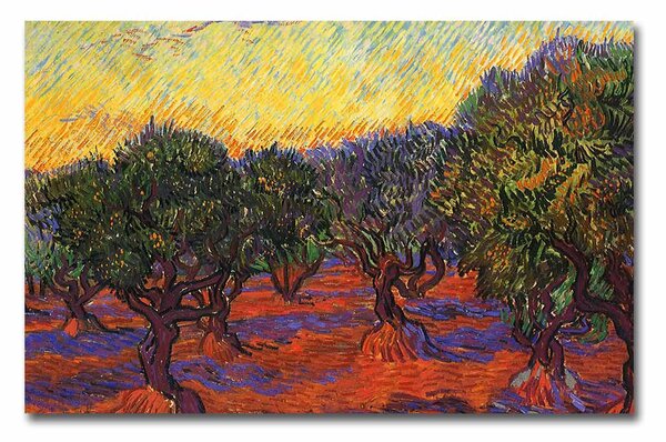 ASIR Obraz na plátně Vincent Van Gogh – Olivovníky