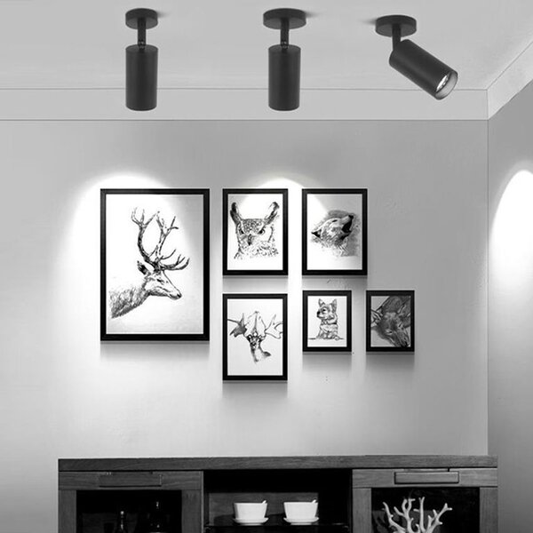 Toolight Stropní svítidlo APP1244-1C BLACK